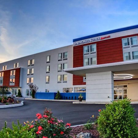 Springhill Suites By Marriott Scranton Montage Mountain Moosic Ngoại thất bức ảnh